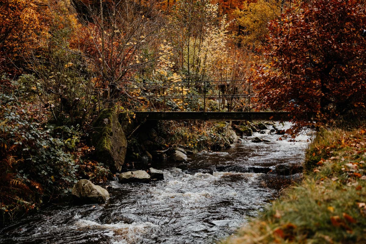 Centrum Bad Harzburgu s pěší zónou