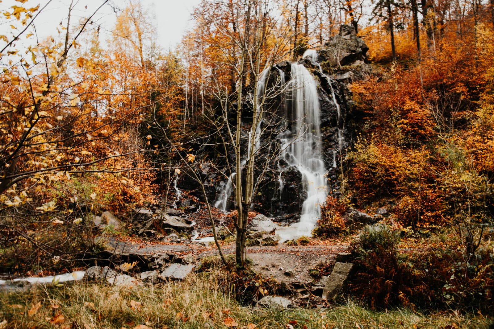 Excursiones con niños en el Harz: las 10 mejores escapadas
